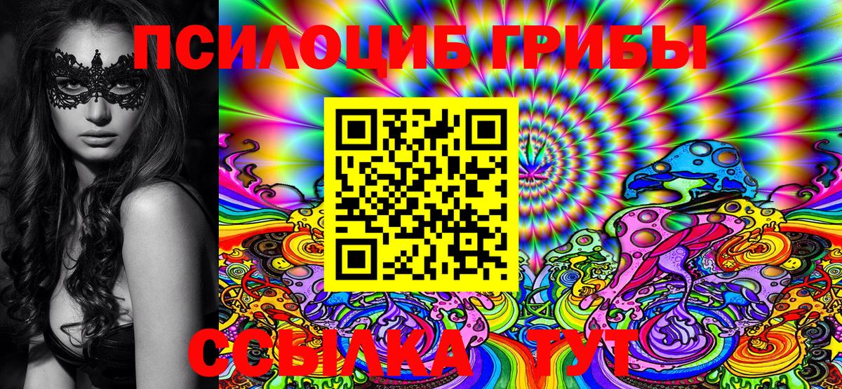 Сургут  Псилоцибиновые грибы Cubensis  Вход с VPN 